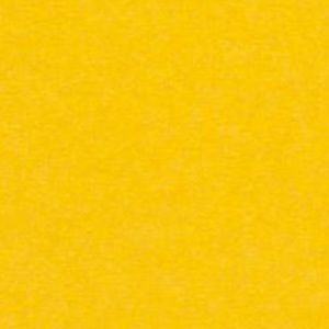 Meet your Posher, Nihlha